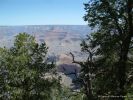 GrandCanyon2007-003.jpg