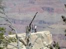 GrandCanyon2007-015.jpg