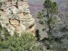 GrandCanyon2007-038.jpg