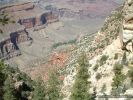 GrandCanyon2007-060.jpg