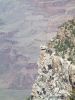 GrandCanyon2007-079.jpg