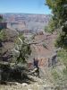 GrandCanyon2007-087.jpg