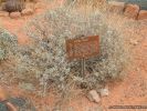 ValleyOfFire2007-106.jpg