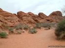 ValleyOfFire2007-130.jpg