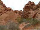 ValleyOfFire2007-137.jpg